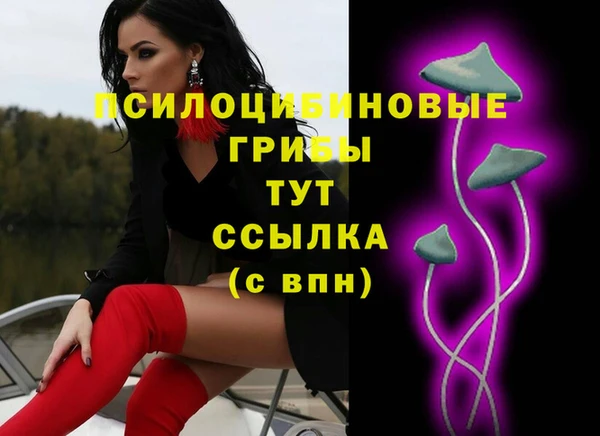 гидропоника Алексин