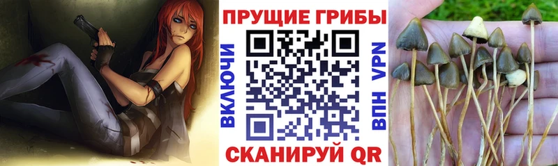 Псилоцибиновые грибы мухоморы Асбест