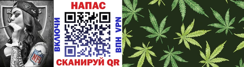 Бошки Шишки план Асбест